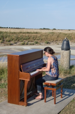 Veronica au piano, marais de la Chabossière, Ars-en-Ré